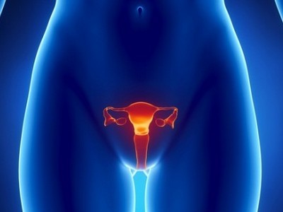 Стойността на яйчниците в женското тяло