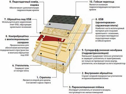 Херпес зостер от това, което