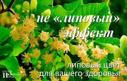 От това, което липов цвят От това, което липов цвят