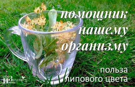 От това, което липов цвят От това, което липов цвят