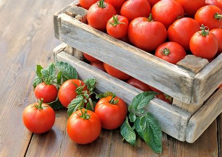 Как да продават домати