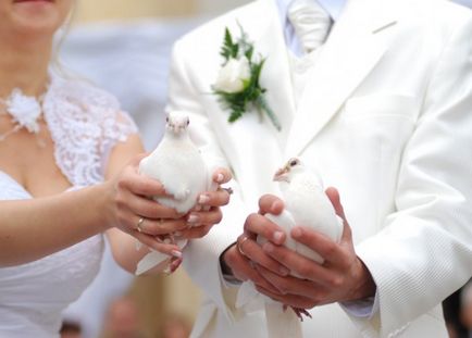 Гълъби за сватби