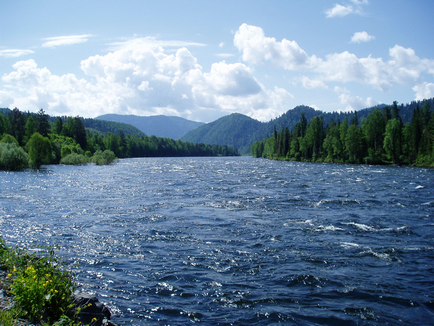 Какво трябва да направите във водата Какво трябва да направите във водата