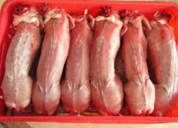 Как да продадем заешко месо - продукти от заек - зайки за разплод - статия за зайци