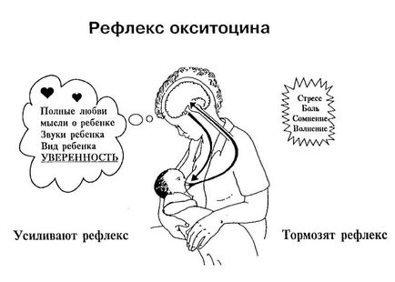 Какво да ядем, е млякото Какво да ядем, е млякото