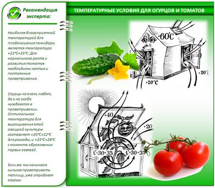 Краставици с домати