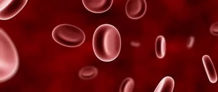 От което червените кръвни клетки в урината