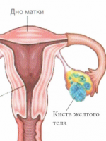 Как да се предизвика овулация у дома