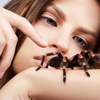 Как да не се страхува от паяци