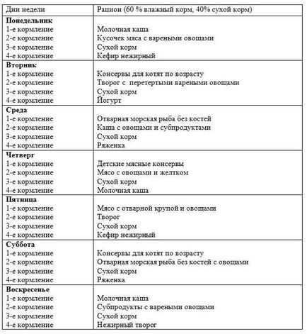 С какво да храним котенца на месец С какво да храним котенца на месец