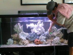 Колко често да почиствате аквариума
