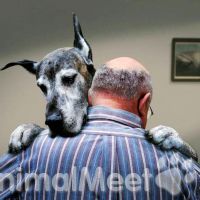 Куче с куче любов