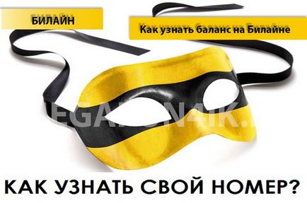 Как да се намери баланс за Beeline Как да се намери баланс за Beeline
