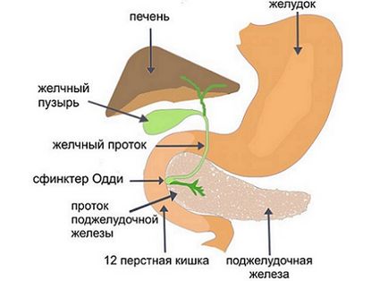 Как обезболявам панкреаса