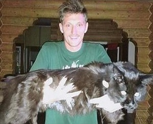 Павел Воля и неговата котка