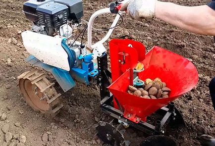 Как да се засадят картофи в мотор-блок