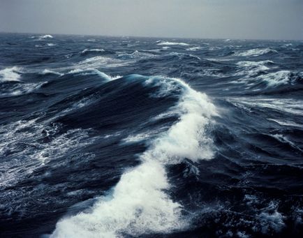 Какво е в океана Какво е в океана