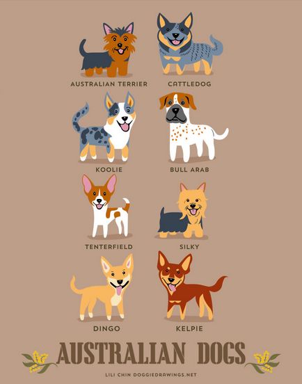 Различните породи кучета всички