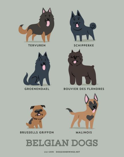 Различните породи кучета всички