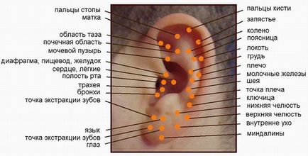 Sudzhok терапия у дома