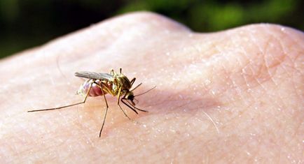 Това облекчава сърбеж от ухапвания от комари