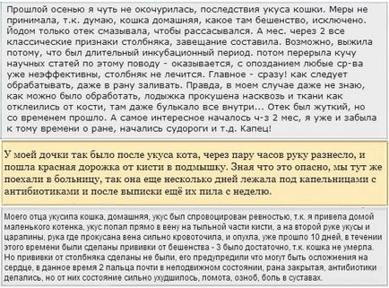 След ухапване от котка След ухапване от котка