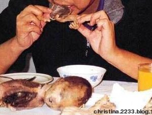 Както китайците ядат ембриони