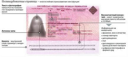 Как да получите паспорт в себе си