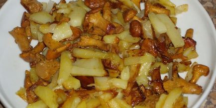 Как да готвя гъби пачи крак Как да готвя гъби пачи крак
