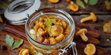 Как да готвя гъби пачи крак Как да готвя гъби пачи крак