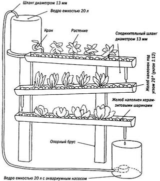 Aeroponics предимства, техники, техника (методи) Aeroponics ползи, техники, оборудване