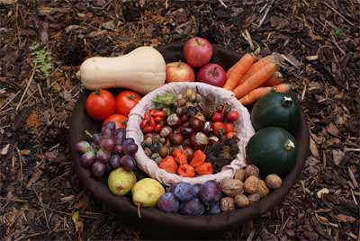 Vermicompost - това е, как и дали да го (употреба) се използват Vermicompost - това е, как и дали да го използвам