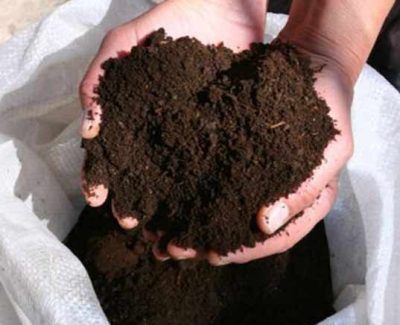 Vermicompost - това е, как и дали да го (vermicompost) използват Vermicompost - това е, как и дали да го използвам
