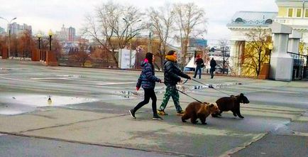 Какво германците мислят за българина