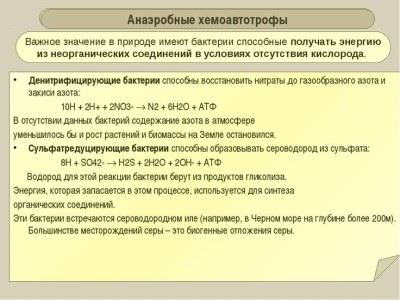 Дихателни бактерии, гъбички, растения, тип класификация аеробни, анаеробна ферментация, (бактерии) Дихателни бактерии, гъбички, растения, класификация на аеробни тип, анаеробна ферментация