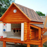 Къща за пилетата с ръцете си, особено сгради, работилница и снимка