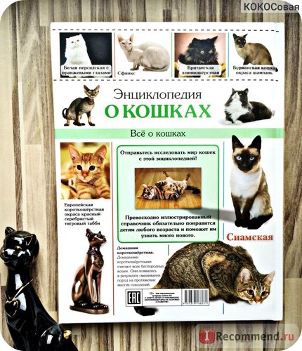 Енциклопедия на Cat