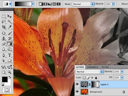 Photoshop за начинаещи маска слой, уроците (поуки) Photoshop за начинаещи маската, уроци