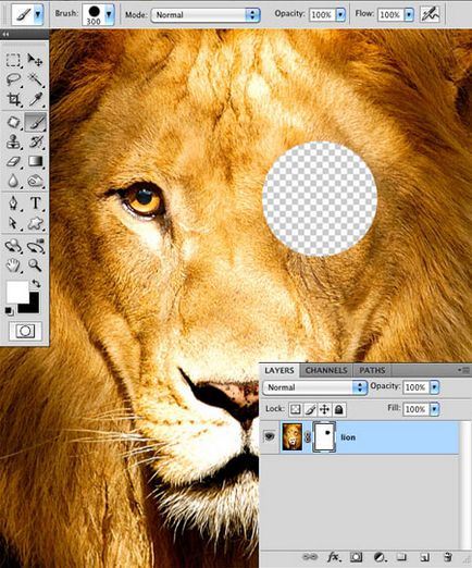 Photoshop за начинаещи маска слой, уроци (маска) Photoshop за начинаещи маската, уроци