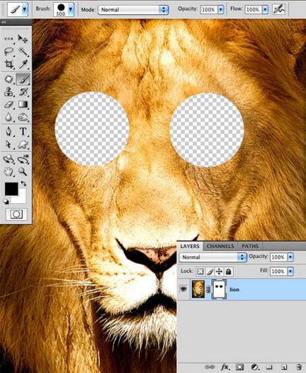 Photoshop за начинаещи маска слой, уроци (Photoshop) Photoshop за начинаещи маската, уроци