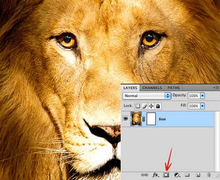Photoshop за начинаещи маска слой, уроци (за начинаещи) Photoshop за начинаещи маската, уроци