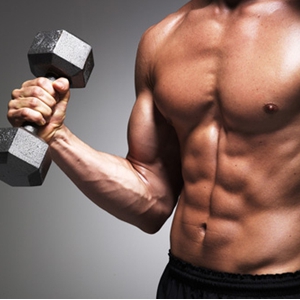 Какво мускули са обучени за тренировка