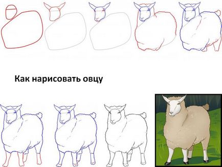 Как да се направи едно агне, овца и агне