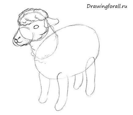 Как да се направи овце на етапи за начинаещи