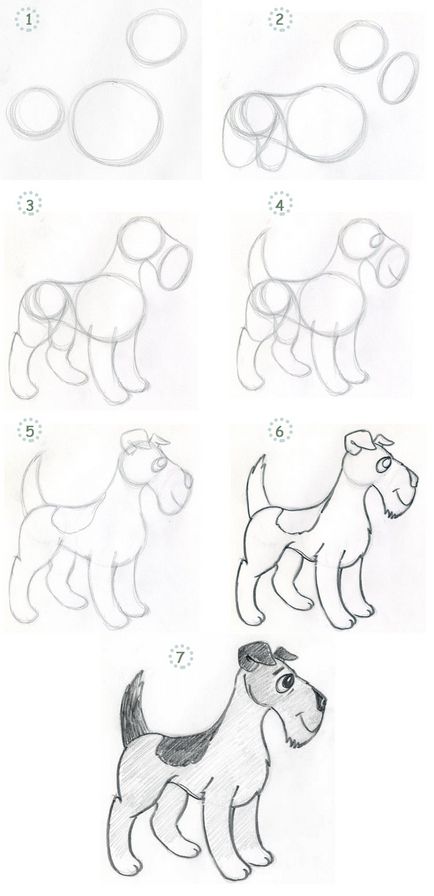 Как да се направи едно куче на етапи молив