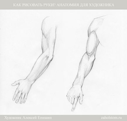 Как да се направи ръцете анатомия за художници