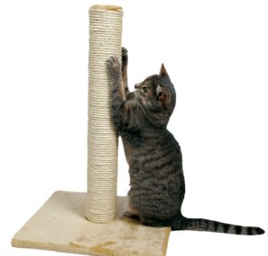 Как да си направим чесане пост за котката със собствените си ръце (50 снимки) kogtedralka от дърво, с къща dryapka