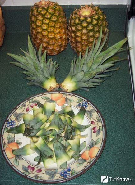 Как да расте ананас у дома стъпка по стъпка ръководство