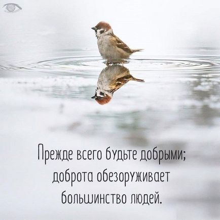 Как да се направи човек каже истината - психологически съвети (истината) Как да се направи човек каже истината - психологически консултации