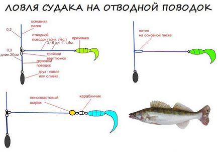 Риболов на съветите за байпас каишка за начинаещи (риболовни) Риболов на съветите за байпас каишка за начинаещи